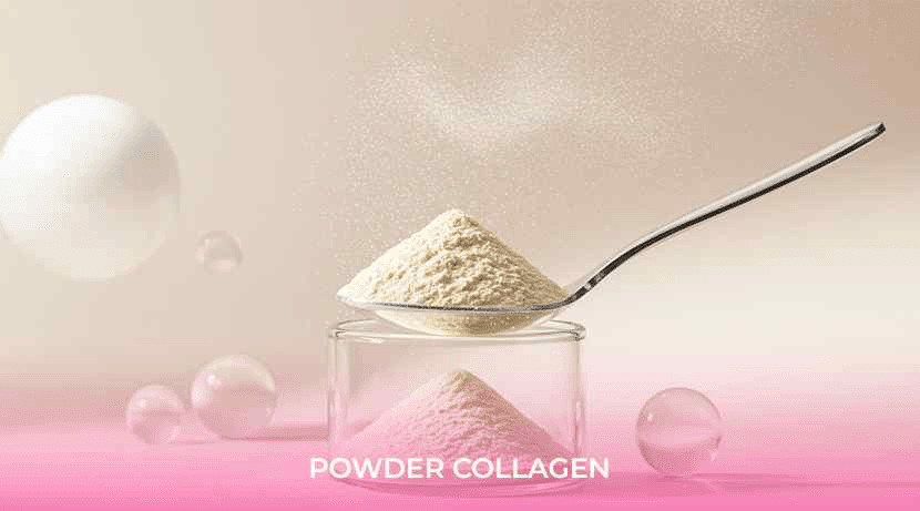 Powder Collagen